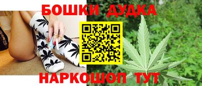 индика Ликино-Дулёво