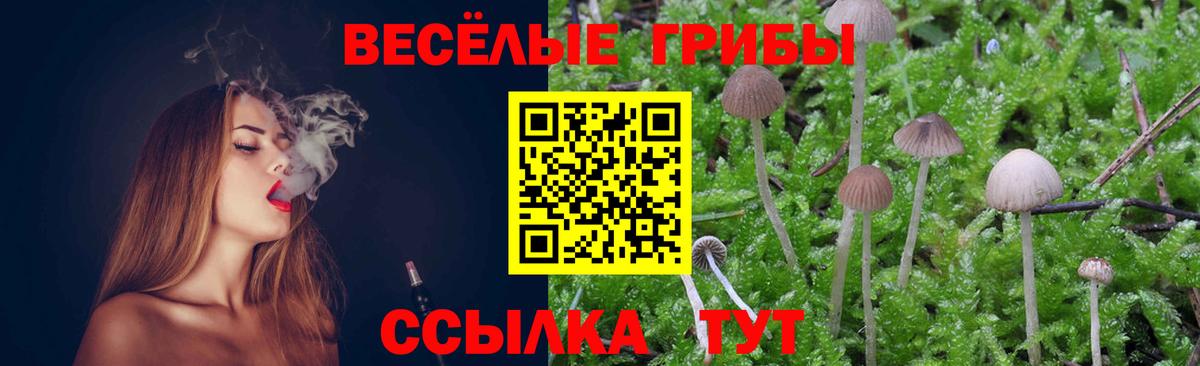 магазин    Галлюциногенные грибы мухоморы  Зерноград  Вход с VPN  Галлюциногенные грибы Cubensis 